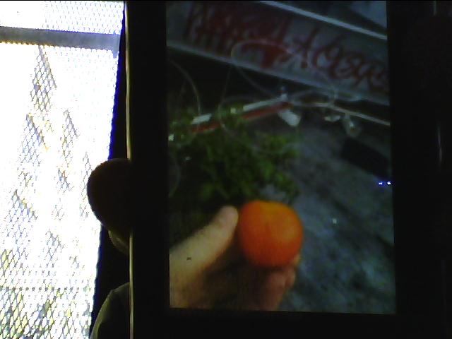 When Stalin said, "black earth" did he mean tar beach?