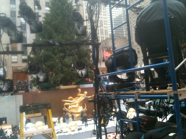 We Rule you, We fool you, We shoot you, We eat for you