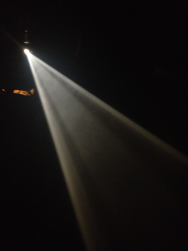 photo(2)