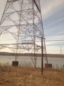 photo (24)