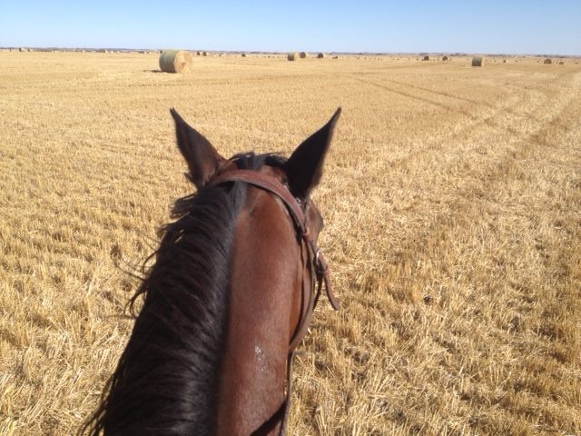 1377552_10152001279795649_545738385_n