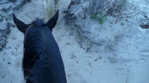 62381_489643825648_6304345_n