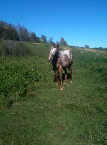 71542_495951800648_7686901_n