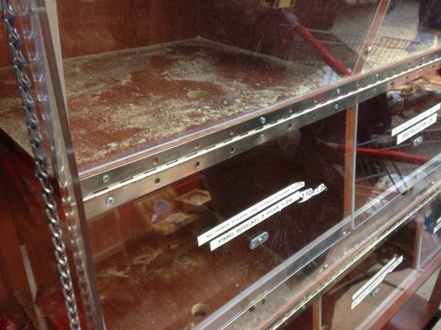 10952408_10153141034755649_1352229896143722017_n