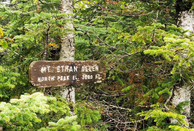 11997029_1166983913316943_315846627_n