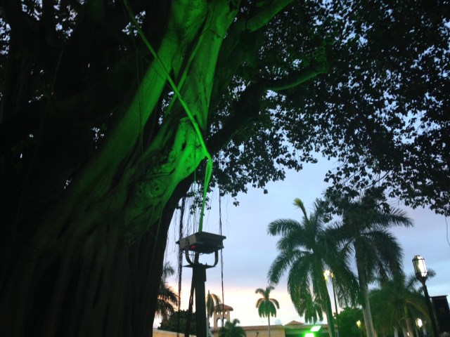 photo 1(3)