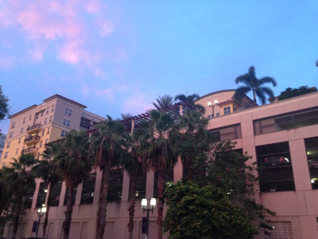 photo 3(3)