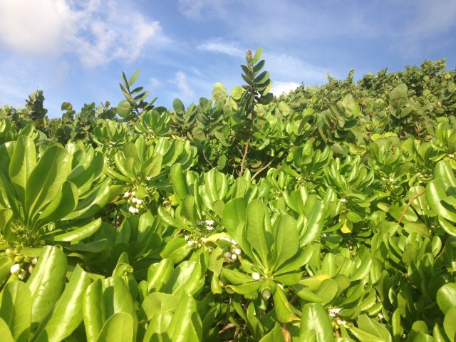 photo 5(3)