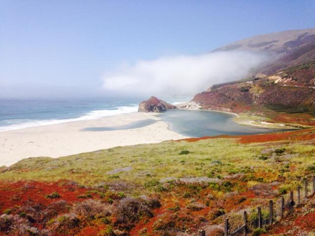 11811321_10153617130095649_2011575612638777193_n