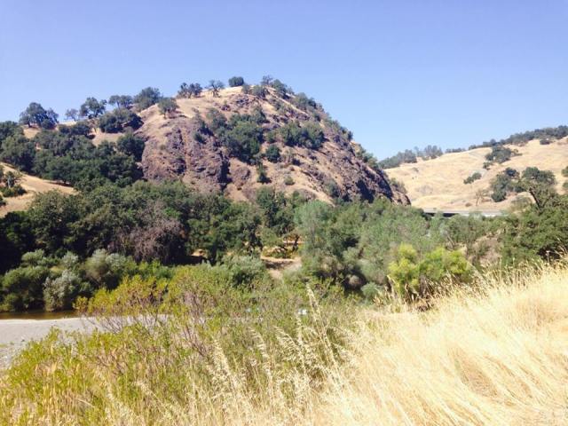 11811432_10153605750715649_3929820325472628997_n