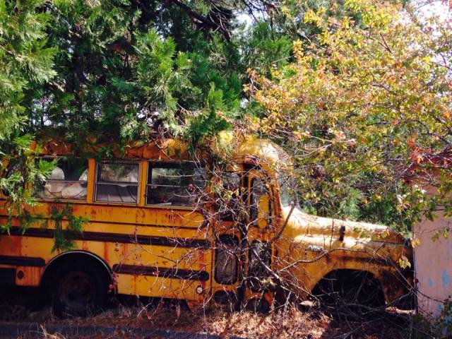 11831746_10153609846155649_2024742393439303031_n