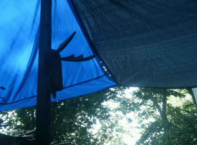 Screen Shot 2017-10-22 at 12.18.34 PM