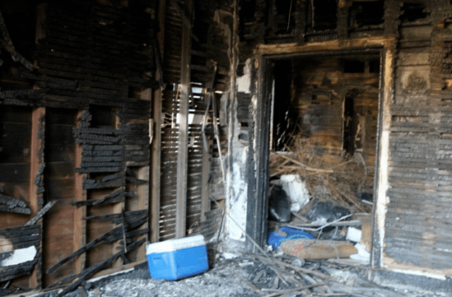 Screen Shot 2017-10-23 at 5.52.35 PM